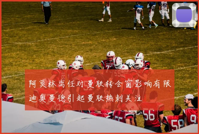 阿莫林离任对曼联转会窗影响有限迪奥曼德引起曼联热刺关注